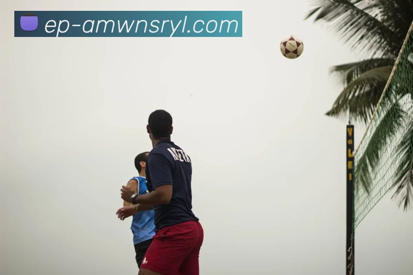 App Interface Preview